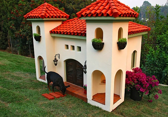 giant dog house